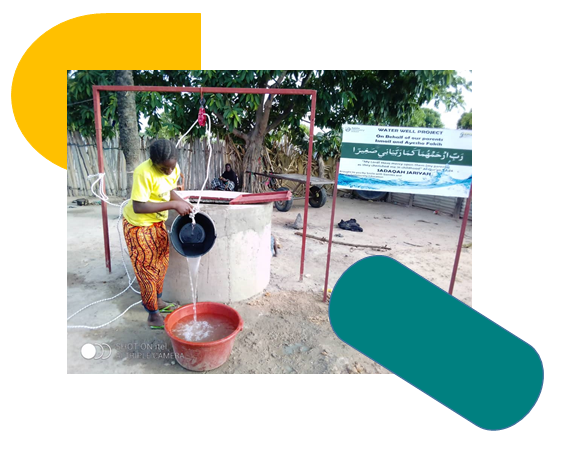 Gambia Village well